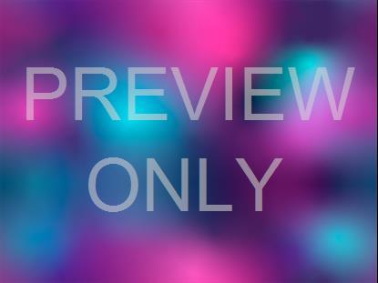 NEON SUMMER 16 STILL