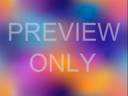 NEON SUMMER 17 STILL