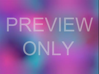 NEON SUMMER 19 STILL