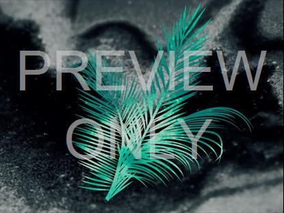 PALM SUNDAY VOLUME 5 BACKGROUND 3 STILL