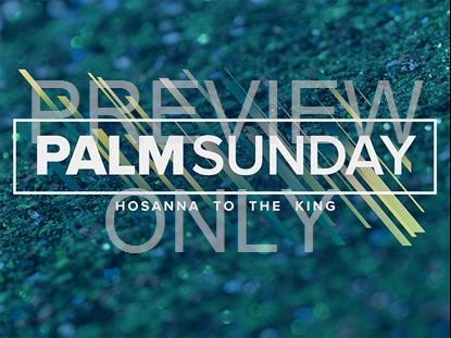 SAPPHIRE PALM SUNDAY STILL