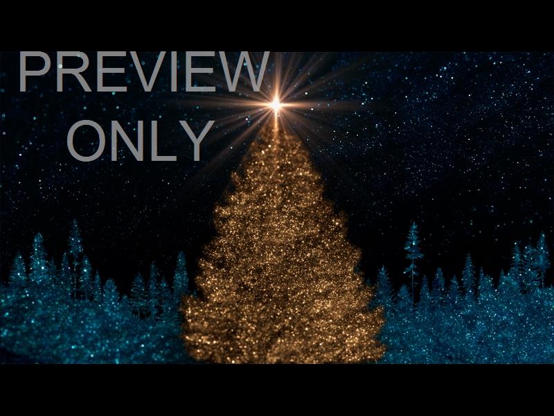 SPARKLING CHRISTMAS 1 STILL