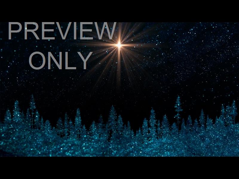 SPARKLING CHRISTMAS 2 STILL