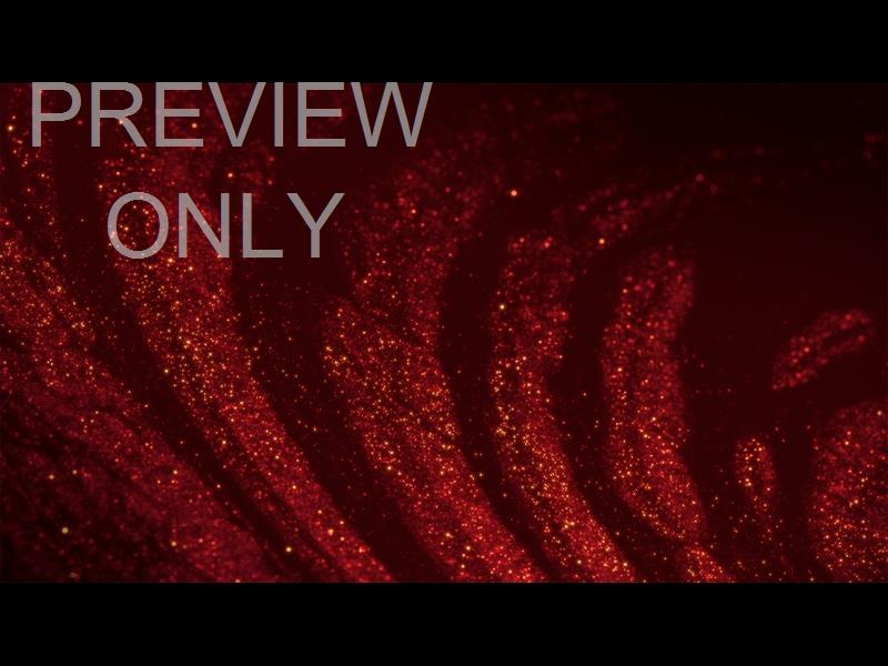 SPARKLING CHRISTMAS 8 STILL