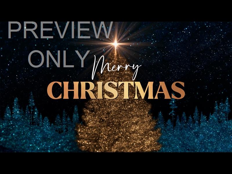 SPARKLING CHRISTMAS MERRY CHRISTMAS STILL