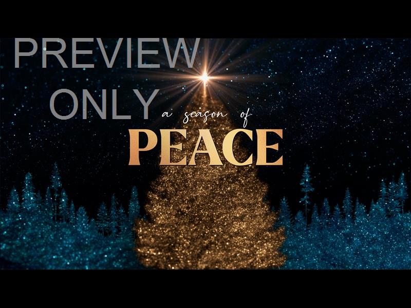 SPARKLING CHRISTMAS PEACE STILL