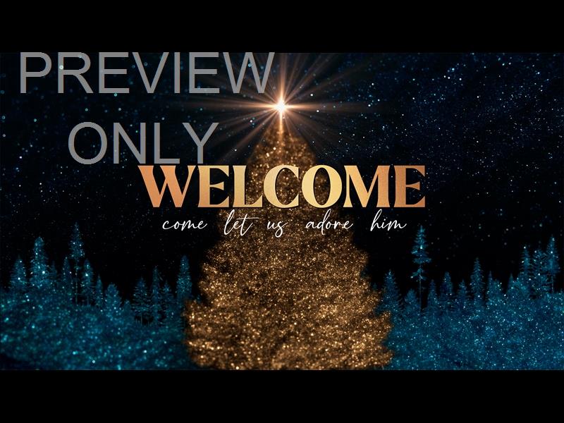 SPARKLING CHRISTMAS WELCOME STILL