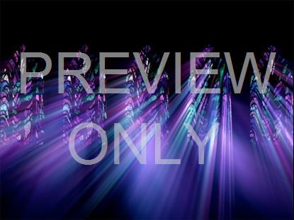 STAINED GLASS 13 STILL