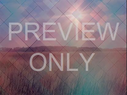 TIDELANDS 5 REMIX STILL