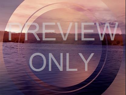 TIDELANDS 6 REMIX STILL