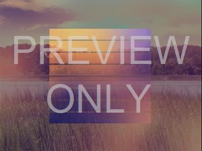 TIDELANDS 8 REMIX STILL