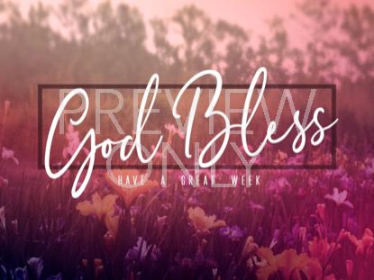 WILDFLOWER CLOSE STILL