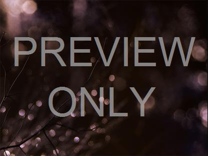 WINTER FROST 13 STILL