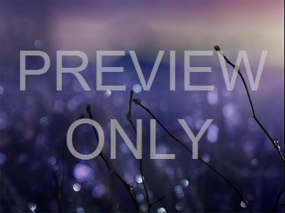 WINTER FROST 15 STILL