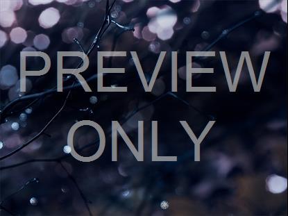 WINTER FROST 1 STILL