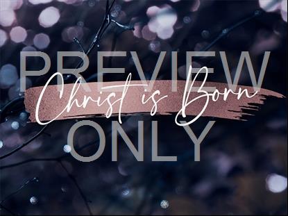 WINTER FROST CHRIST IS BORN STILL