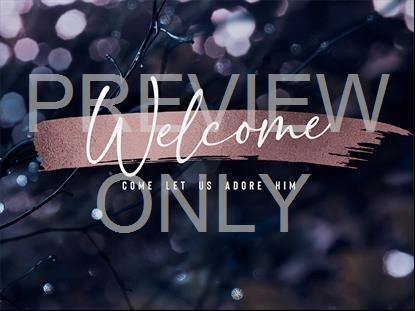 WINTER FROST CHRISTMAS WELCOME STILL