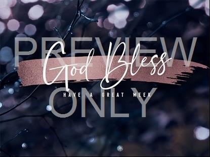 WINTER FROST CLOSE STILL