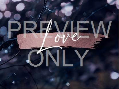 WINTER FROST LOVE STILL