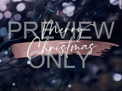 WINTER FROST MERRY CHRISTMAS STILL