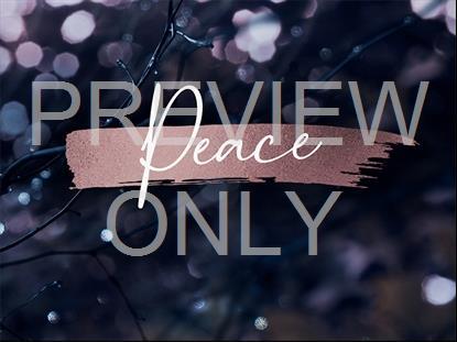 WINTER FROST PEACE STILL