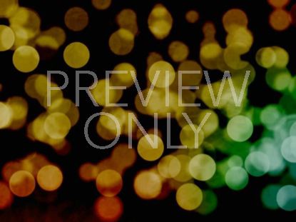 AUTUMN GRUNGE STILL 11