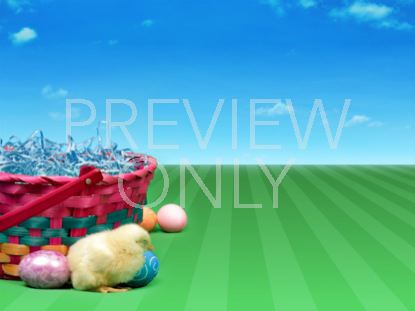 BABY CHICK EASTER BASKET