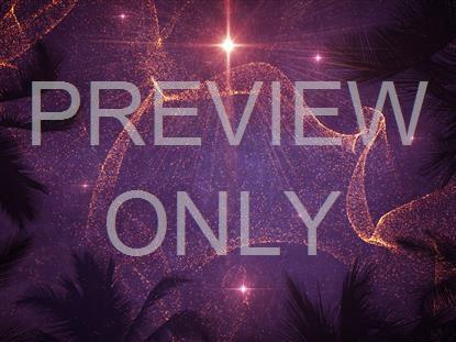 BEHOLD CHRISTMAS STAR TREES STILL