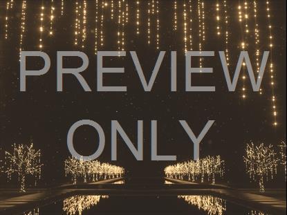 CHRISTMAS GOLD LIGHT STRINGS