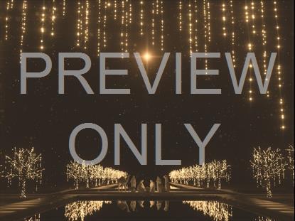 CHRISTMAS GOLD NATIVITY STAR