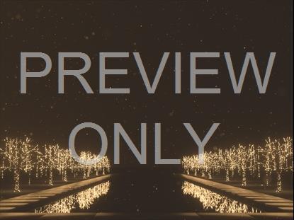 CHRISTMAS GOLD REFLECTING POOL