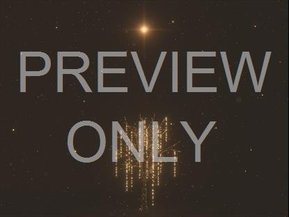 CHRISTMAS GOLD STAR TREE