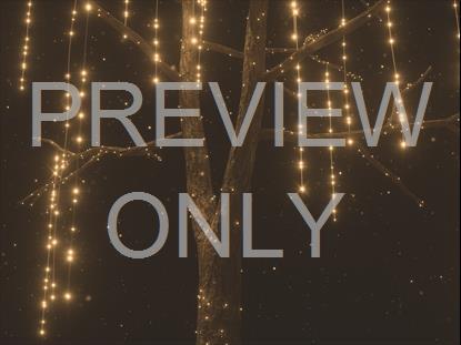 CHRISTMAS GOLD TREE CLOSEUP