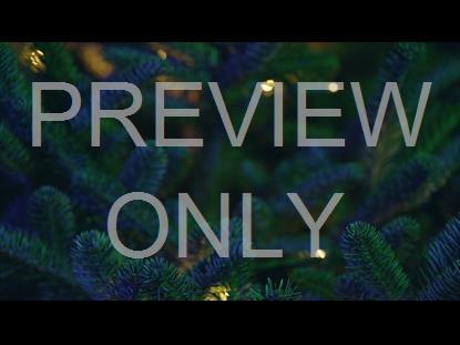 CHRISTMAS PINES BLUEGREEN