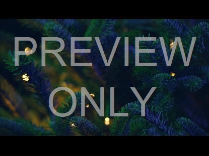 CHRISTMAS PINES BLUEGREENCLOSE