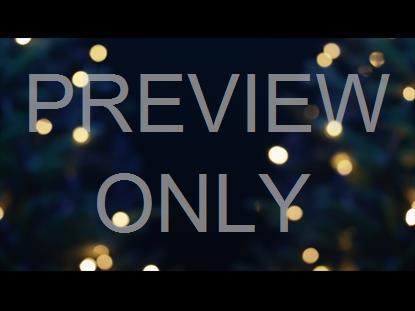 CHRISTMAS PINES BLUR TREES