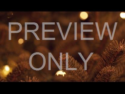 CHRISTMAS PINES GOLD CLOSE