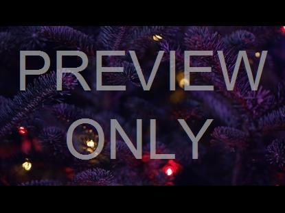 CHRISTMAS PINES PINK GOLD