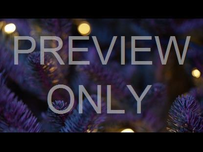 CHRISTMAS PINES PURPLE TEAL CLOSE