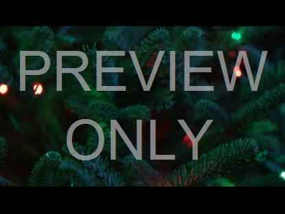 CHRISTMAS PINES RED GREEN LIGHTS