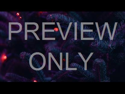 CHRISTMAS PINES RED LIGHTS PURPLE