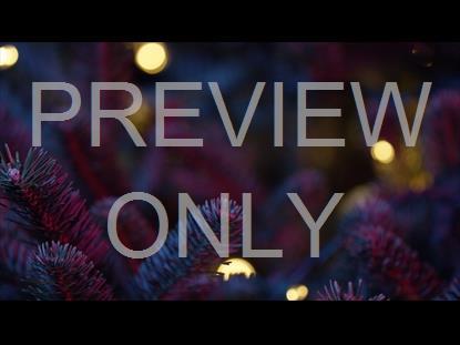 CHRISTMAS PINES TEAL PINK CLOSE