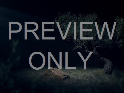 CRUCIFIXION GETHSEMANE