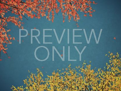 DIGITAL AUTUMN BLUE SKIES