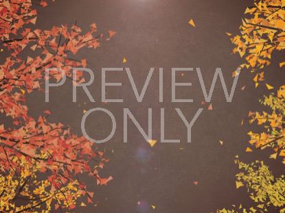 DIGITAL AUTUMN FOREST WALK