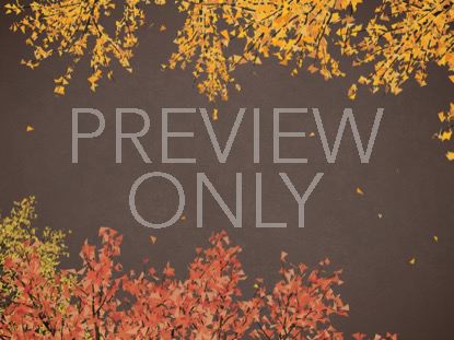 DIGITAL AUTUMN RICH BROWN