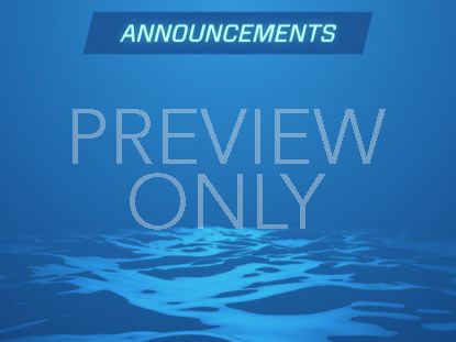 DIGITAL WAVES ANNOUNCEMENTS