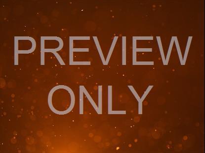 DUST STORM FIRE SPARKS