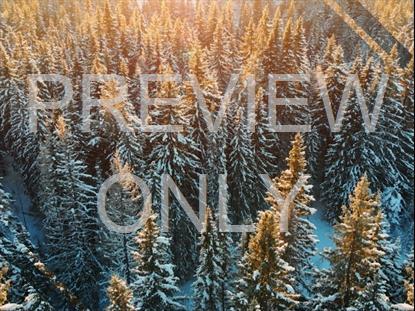 EPIC WINTER AERIAL CLOSEUPTREES