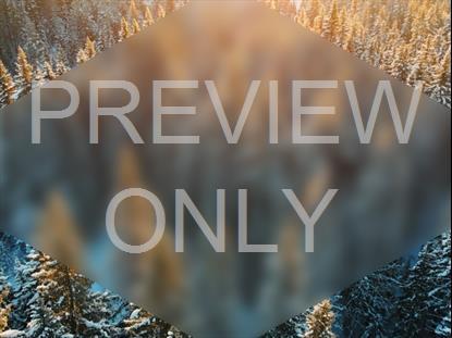 EPIC WINTER AERIAL TREES BLUR